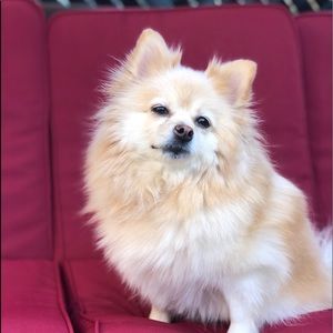 Meet your Posher, Jay